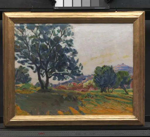 The Olive Grove. With Cagnes in the Background. Against the Light, by Unknown