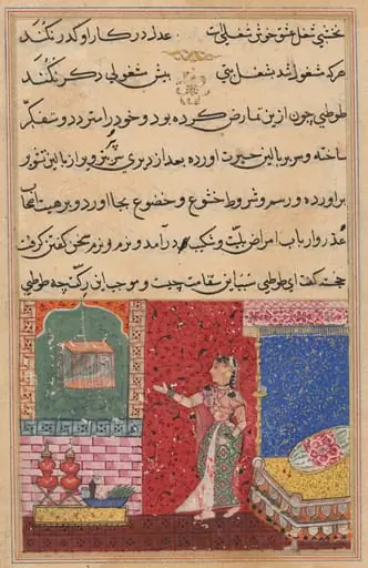 The Parrot Addresses Khujasta at the Beginning of the Fifteenth Night, from a Tuti-nama (Tales of a Parrot), by Unknown