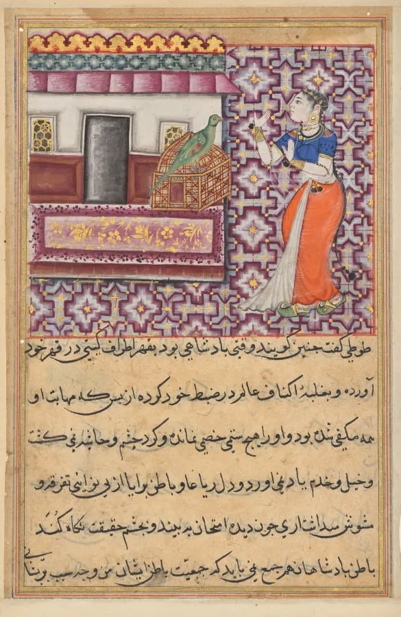 The parrot addresses Khujasta at the beginning of the fiftieth night, from a Tuti-nama (Tales of a Parrot): Fiftieth Night, by Unknown, unspecified, 1560