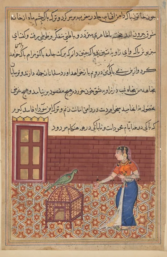 The parrot addresses Khujasta at the beginning of the fifty-first night, from a Tuti-nama (Tales of a Parrot): Fifty-first Night, by Unknown, unspecified, 1560