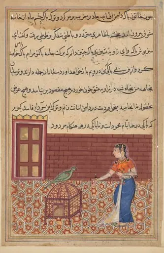 The parrot addresses Khujasta at the beginning of the fifty-first night, from a Tuti-nama (Tales of a Parrot): Fifty-first Night, by Unknown
