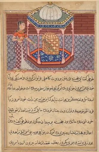 The parrot addresses Khujasta at the beginning of the fifty-second night, from a Tuti-nama (Tales of a Parrot): Fifty-second Night, by Unknown