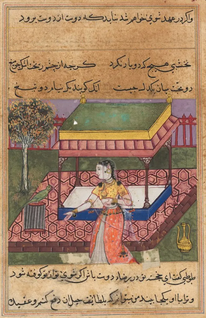 The parrot addresses Khujasta at the beginning of the fortieth night, from a Tuti-nama (Tales of a Parrot), by Unknown