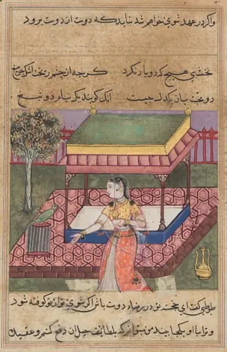 The parrot addresses Khujasta at the beginning of the fortieth night, from a Tuti-nama (Tales of a Parrot), by Unknown