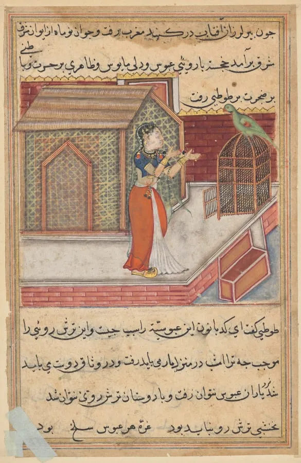 The parrot addresses Khujasta at the beginning of the forty-ninth night, from a Tuti-nama (Tales of a Parrot): Forty-Ninth Night, by Unknown, unspecified, 1560