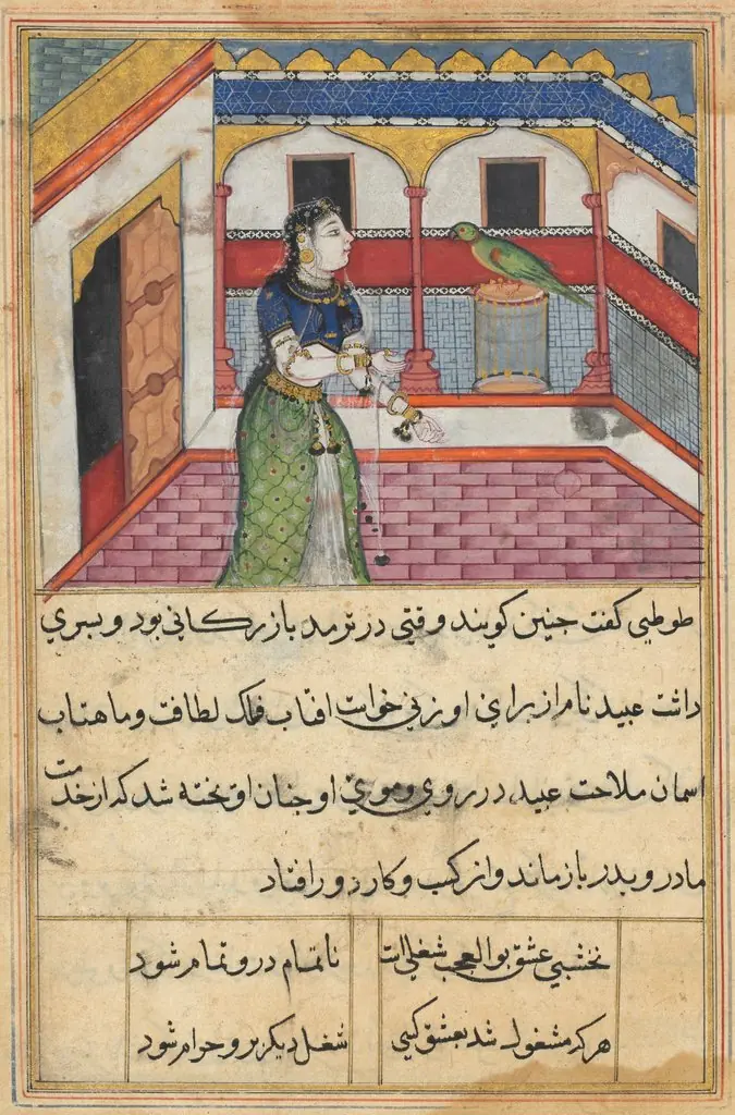 The parrot addresses Khujasta at the beginning of the forty-second night, from a Tuti-nama (Tales of a Parrot), by Unknown