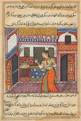 The parrot addresses Khujasta at the beginning of the forty-third night, from a Tuti-nama (Tales of a Parrot), by Unknown