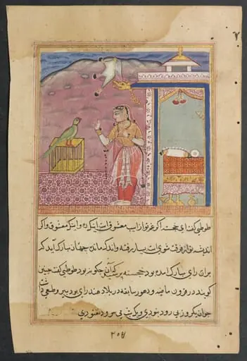 The parrot addresses Khujasta at the beginning of the forty-fourth night, from a Tuti-nama (Tales of a Parrot), by Unknown