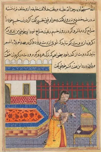 The parrot addresses Khujasta at the beginning of the forty-first night, from a Tuti-nama (Tales of a Parrot): Forty-first Night, by Unknown
