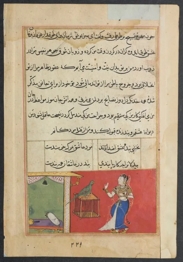 The parrot addresses Khujasta at the beginning of the forty-seventh night, from a Tuti-nama (Tales of a Parrot): Forty-seventh Night, by Unknown, unspecified, 1560