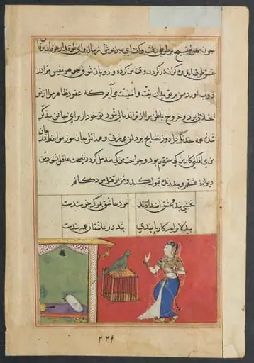 The parrot addresses Khujasta at the beginning of the forty-seventh night, from a Tuti-nama (Tales of a Parrot): Forty-seventh Night, by Unknown