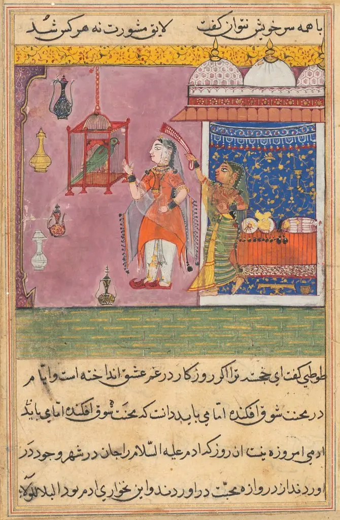 The Parrot Addresses Khujasta at the Beginning of the Nineteenth Night, from a Tuti-nama (Tales of a Parrot), by Unknown
