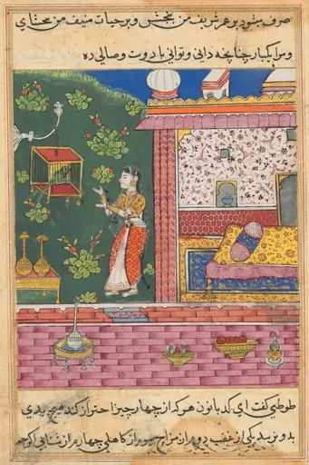 The Parrot Addresses Khujasta at the Beginning of the Thirtieth Night, from a Tuti-nama (Tales of a Parrot), by Unknown