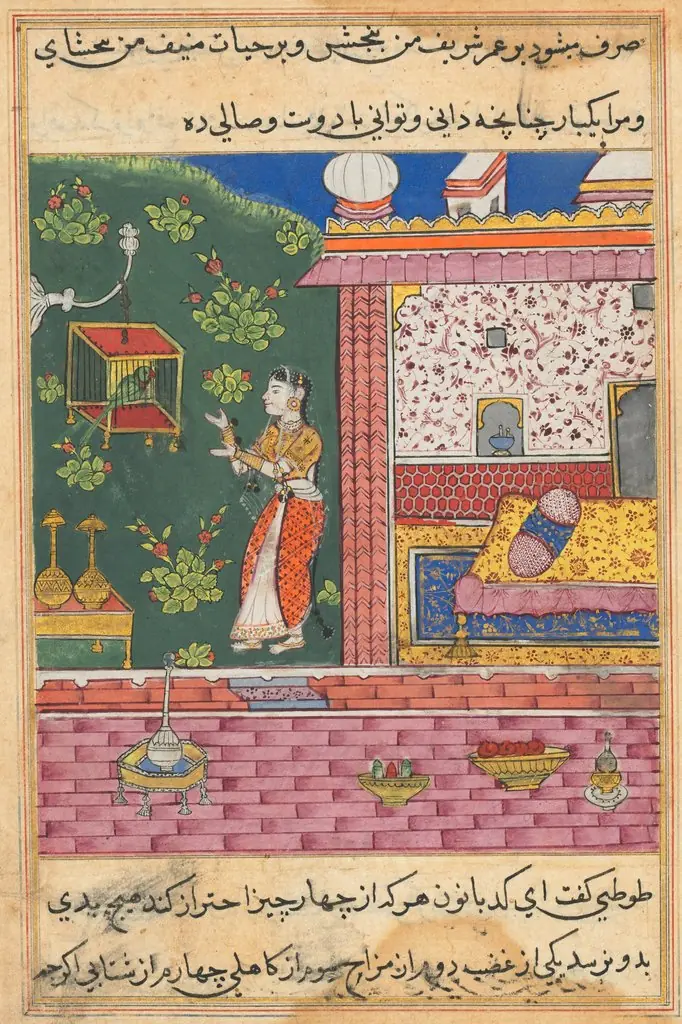 The Parrot Addresses Khujasta at the Beginning of the Thirtieth Night, from a Tuti-nama (Tales of a Parrot), by Unknown
