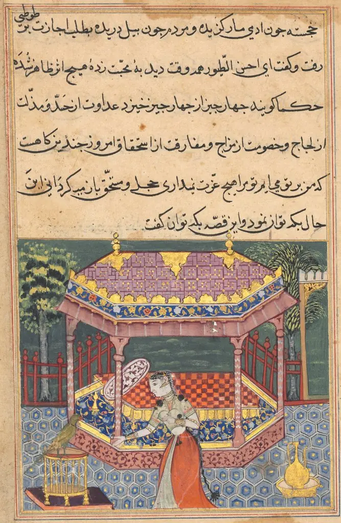 The parrot addresses Khujasta at the beginning of the thirty-seventh night, from a Tuti-nama (Tales of a Parrot), by Unknown