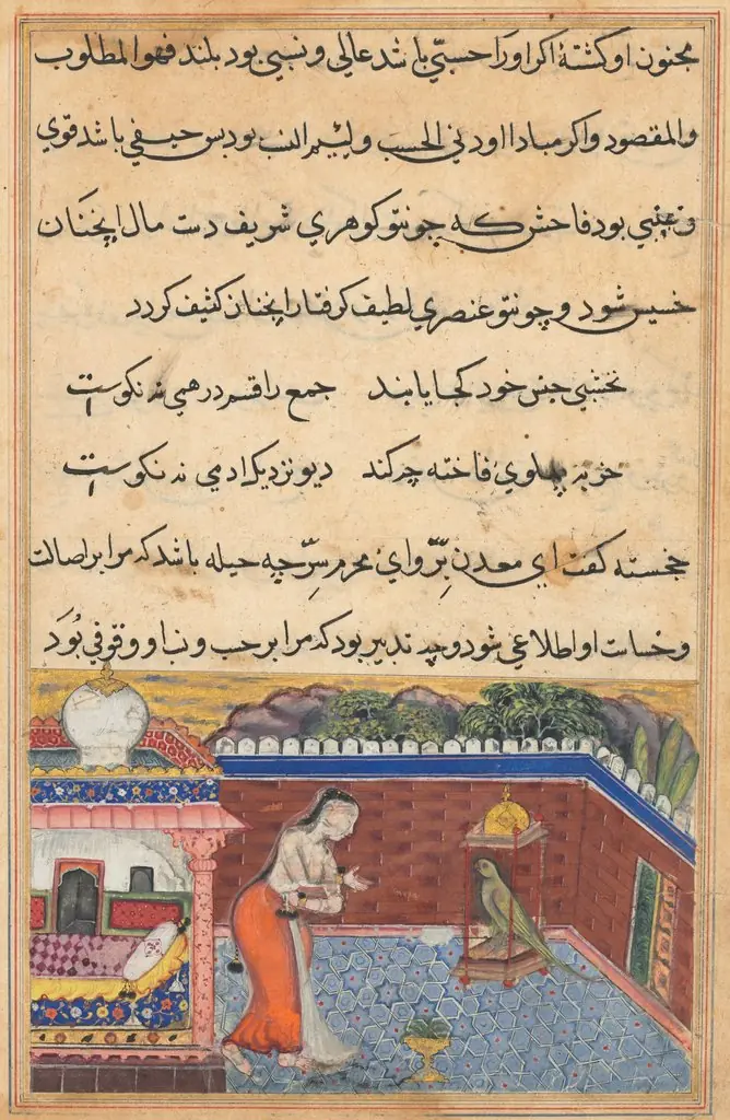 The parrot addresses Khujasta at the beginning of the thirty-first night, from a Tuti-nama (Tales of a Parrot), by Unknown
