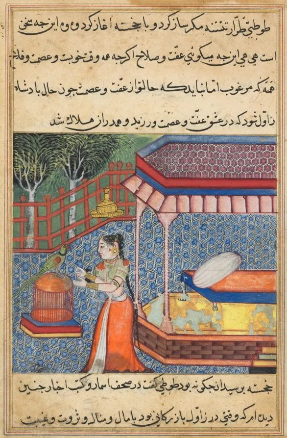 The parrot addresses Khujasta at the beginning of the thirty-sixth night, from a Tuti-nama (Tales of a Parrot), by Unknown, unspecified, 1560