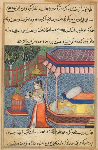 The parrot addresses Khujasta at the beginning of the thirty-sixth night, from a Tuti-nama (Tales of a Parrot), by Unknown