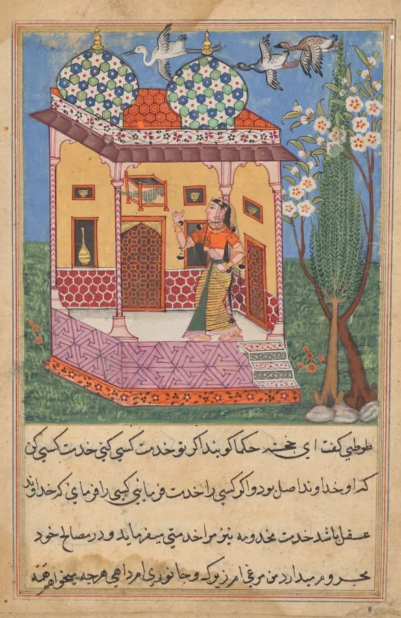 The Parrot Addresses Khujasta at the Beginning of the Twenty-sixth Night, from a Tuti-nama (Tales of a Parrot), by Unknown, unspecified, 1560
