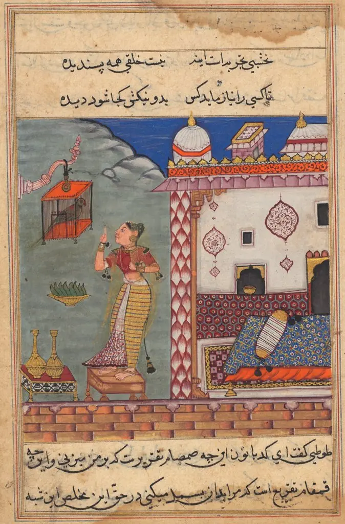 The Parrot Addresses Khujasta at the Beginning of the Twenty-seventh Night, form a Tuti-nama (Tales of a Parrot), by Unknown