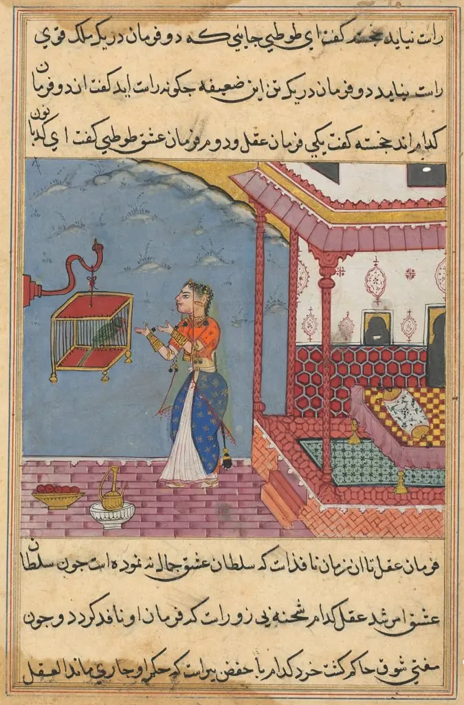 The Parrot Addresses Khujasta at the Beginning of the Twenty-Fourth Night, from a Tuti-nama (Tales of a Parrot), by Unknown