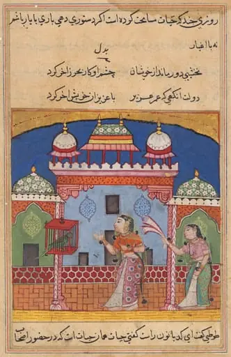 The Parrot Addresses Khujasta at the Beginning of the Twenty-second Night, from a Tuti-nama (Tales of a Parrot), by Unknown
