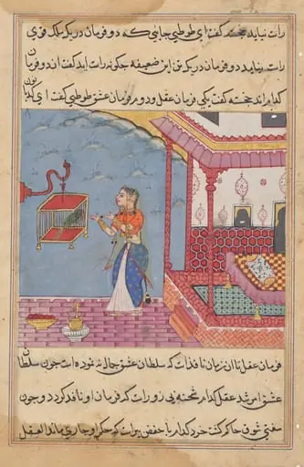 The Parrot Addresses Khujasta at the Beginning of the Twenty-Fourth Night, from a Tuti-nama (Tales of a Parrot), by Unknown