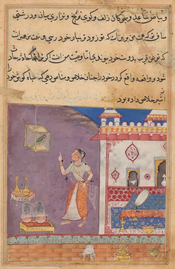 The Parrot Addresses Khujasta at the Beginning of the Twenty-ninth Night, from a Tuti-nama (Tales of a Parrot), by Unknown, unspecified, 1560
