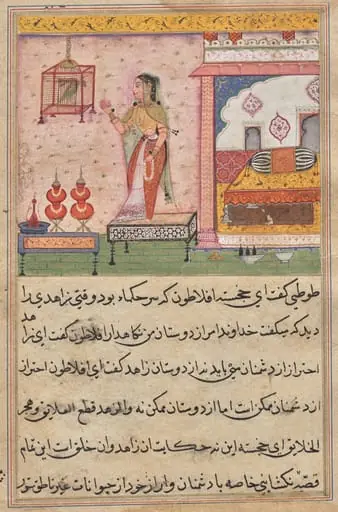 The Parrot Addresses Khujasta at the Beginning of the Twenty-third Night, from a Tuti-nama (Tales of a Parrot), by Unknown