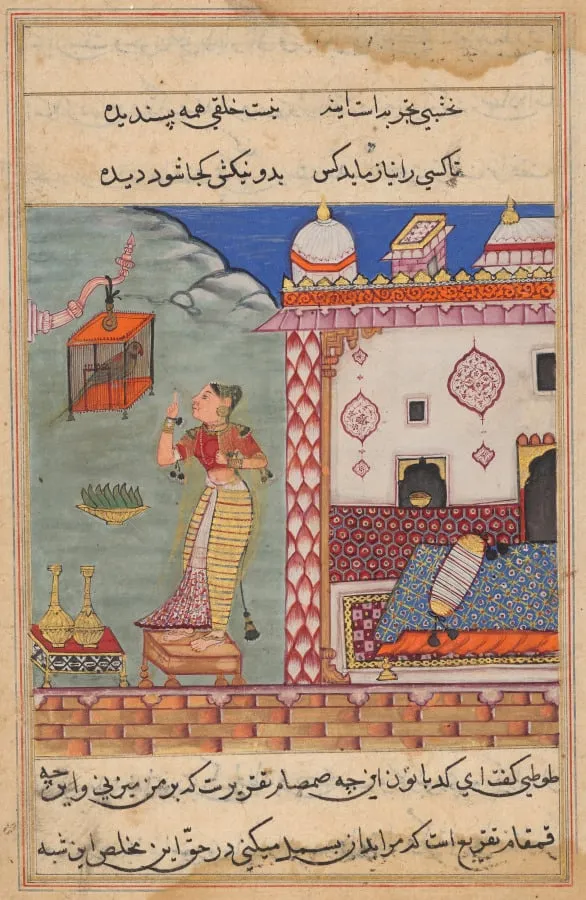 The Parrot Addresses Khujasta at the Beginning of the Twenty-seventh Night, form a Tuti-nama (Tales of a Parrot), by Unknown, unspecified, 1560
