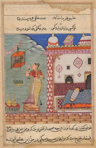 The Parrot Addresses Khujasta at the Beginning of the Twenty-seventh Night, form a Tuti-nama (Tales of a Parrot), by Unknown