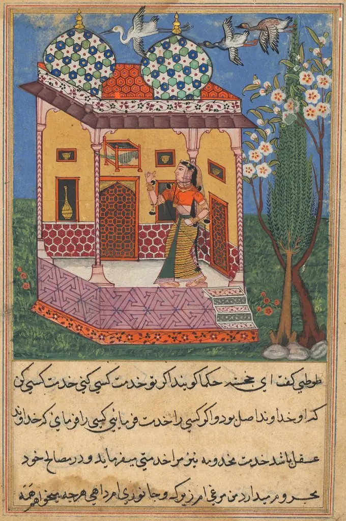 The Parrot Addresses Khujasta at the Beginning of the Twenty-sixth Night, from a Tuti-nama (Tales of a Parrot), by Unknown