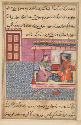 The pious man’s wife offers the seven-colored bird as food to her lover, but not finding its head, he breaks the pot and bowl in anger, from a Tuti-nama (Tales of a Parrot): Fifty-second Night, by Unknown