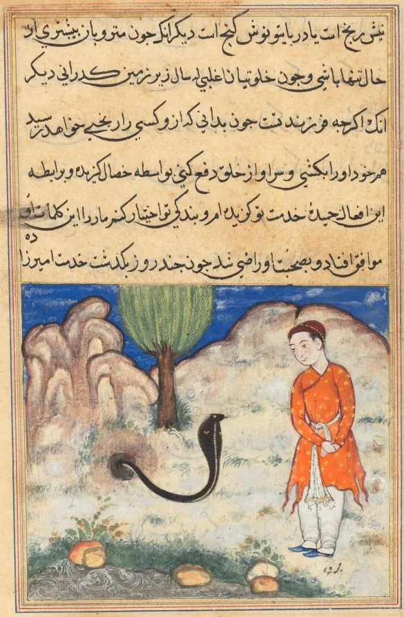 The prince, a son of the ruler of Sistan, enters the service of a snake, from a Tuti-nama (Tales of a Parrot): Thirty-seventh Night, by Unknown, unspecified, 1560