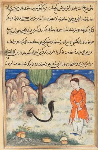 The prince, a son of the ruler of Sistan, enters the service of a snake, from a Tuti-nama (Tales of a Parrot): Thirty-seventh Night, by Unknown