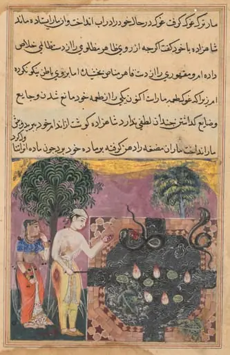 The prince, having deprived the snake of its natural food, a frog, feeds it with a piece of his own flesh, from a Tuti-nama (Tales of a Parrot): Eighteenth Night, by Unknown