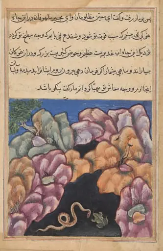 The snake enters into an argument with the frog, from a Tuti-nama (Tales of a Parrot): Twenty-sixth Night, by Unknown