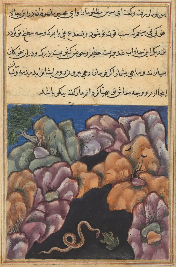 The snake enters into an argument with the frog, from a Tuti-nama (Tales of a Parrot): Twenty-sixth Night, by Unknown