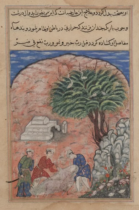 The suitors take the devotee’s daughter out of her tomb after breaking it open, when the physician discovers she is still alive, from a Tuti-nama (Tales of a Parrot): Twentieth Night, by Unknown, unspecified, 1560