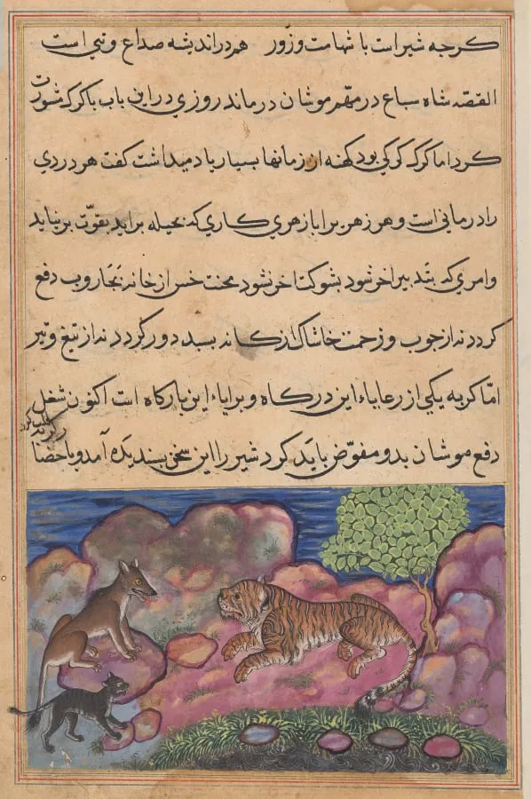 The wolf advises the lion to consult the cat, from a Tuti-nama (Tales of a Parrot): Fifteenth Night, by Unknown, unspecified, 1560