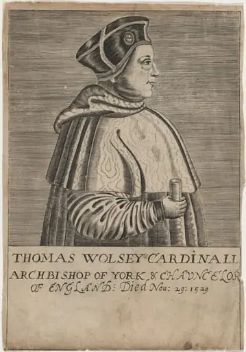 Thomas Wolsey, Cardinal, by Unknown