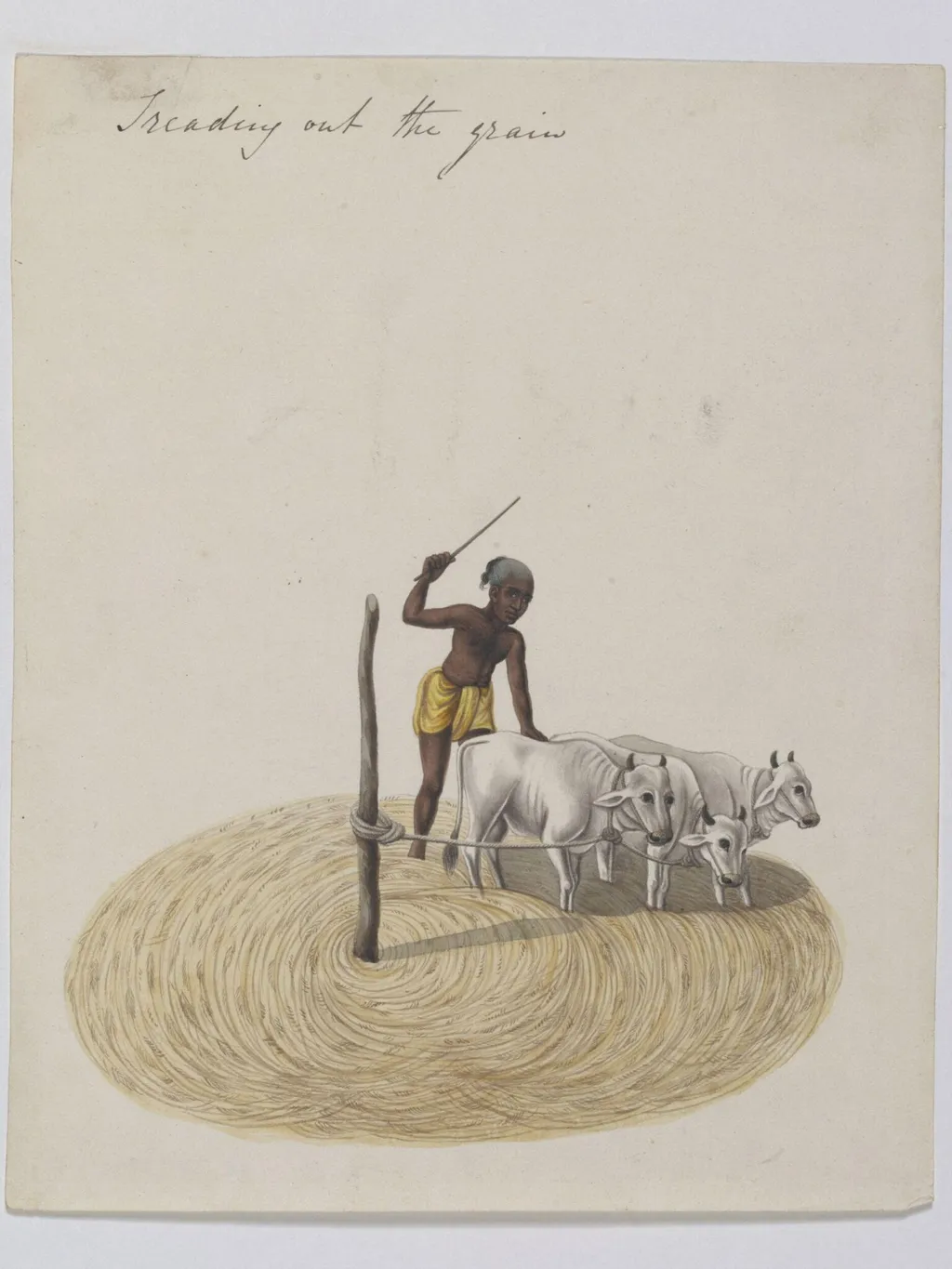 Threshing paddy, by Unknown, paint, 1826