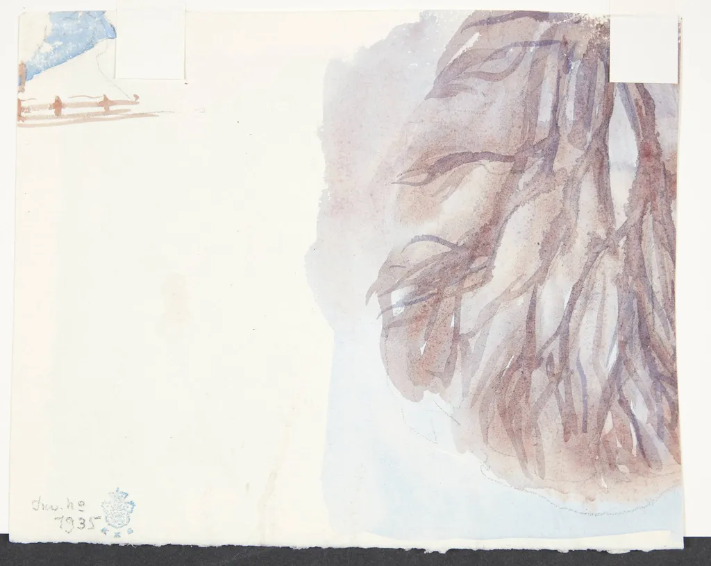 Trætop, by Unknown, unspecified, 1907