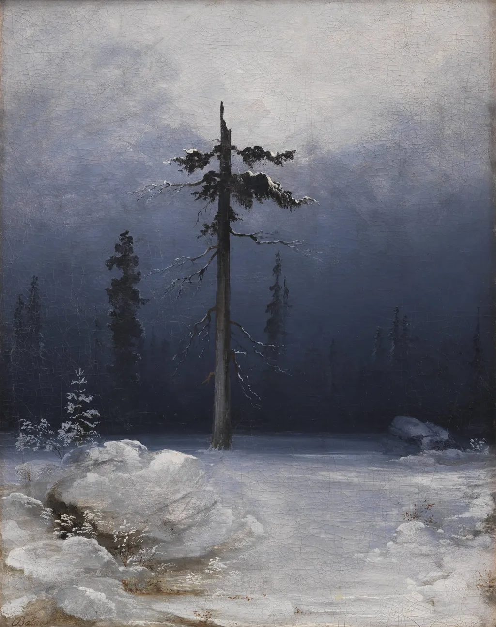 Tree in a Wintry Forest, by Unknown, 1854