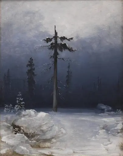 Tree in a Wintry Forest, by Unknown