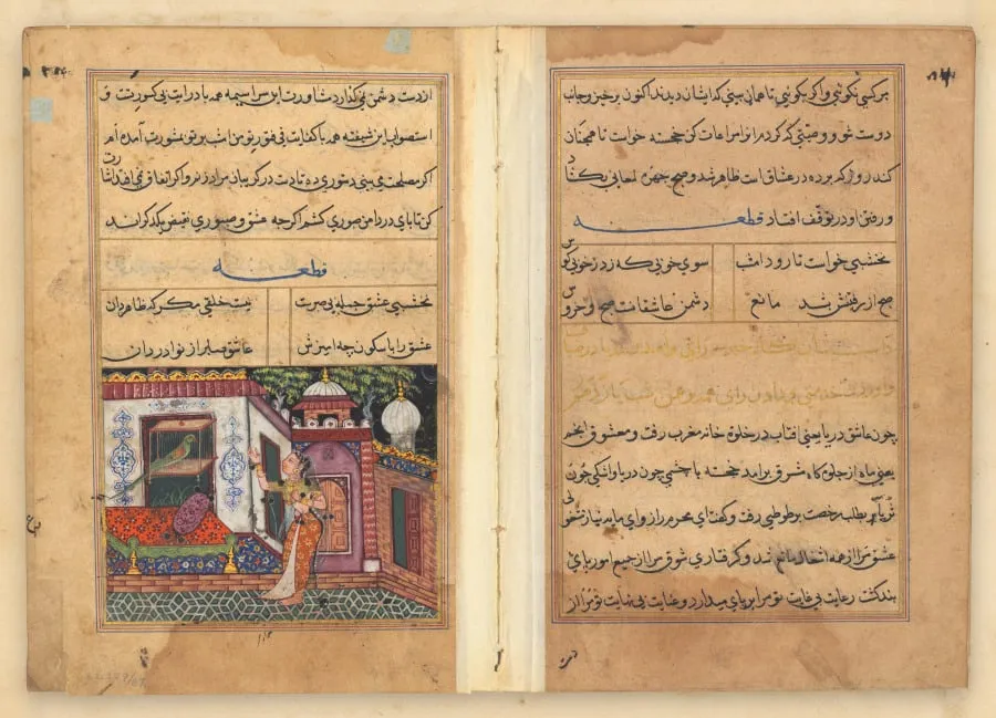 Tuti-Nama (Tales of a Parrot), by Unknown, unspecified, 1560