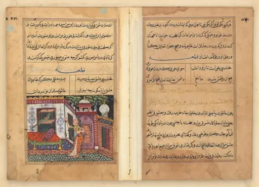 Tuti-Nama (Tales of a Parrot), by Unknown