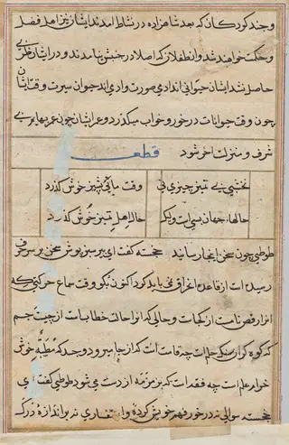 Tuti-Nama (Tales of a Parrot): Tale XIII, by Unknown, 1560