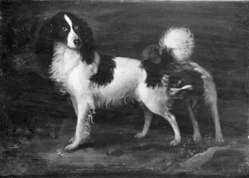 Two Dogs, by Unknown