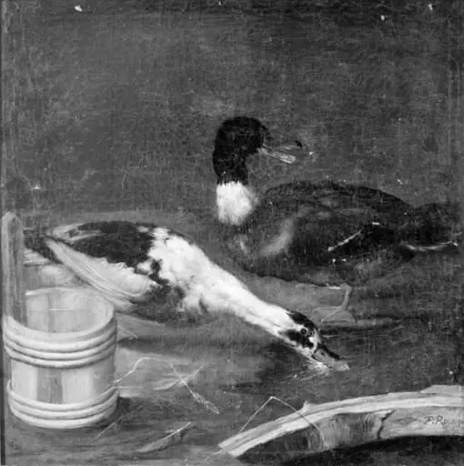 Two Ducks, by Unknown
